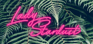 Lady Stardust Salon